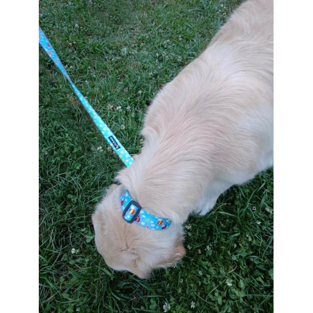 Obroża z klamrą w baloniki FluffyWalk