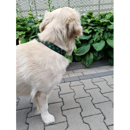 Obroża z klamrą w koniczyny FluffyWalk