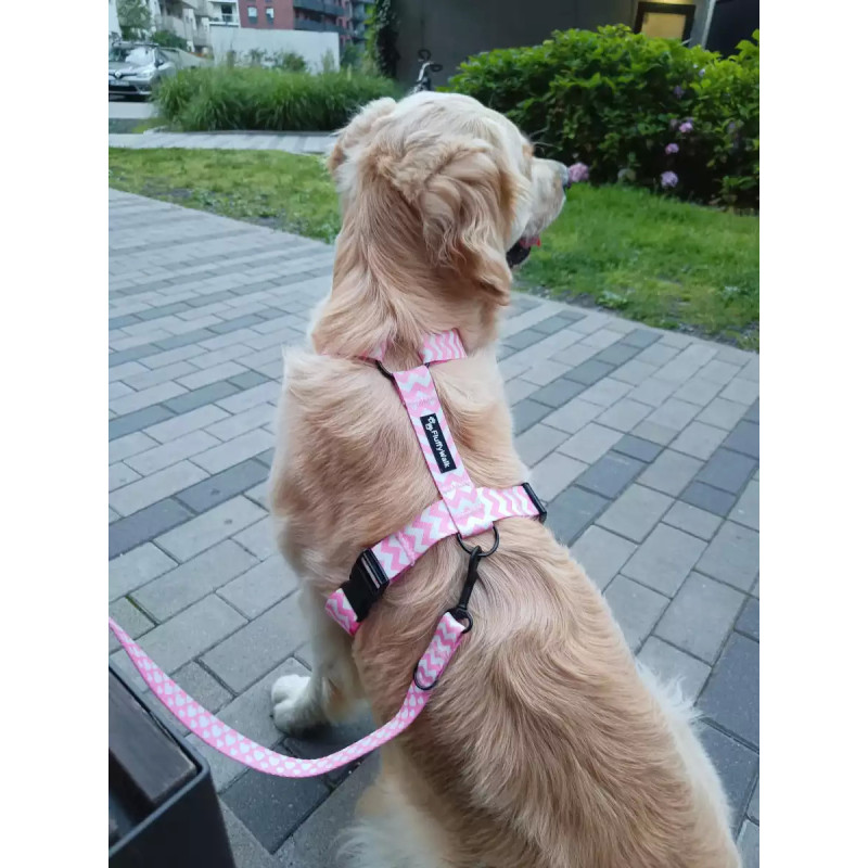 Szelki guard dla psa "Pink chevron" | FluffyWalk