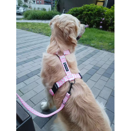 Szelki guard dla psa "Pink chevron" | FluffyWalk