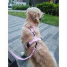 Szelki guard dla psa "Pink chevron" | FluffyWalk