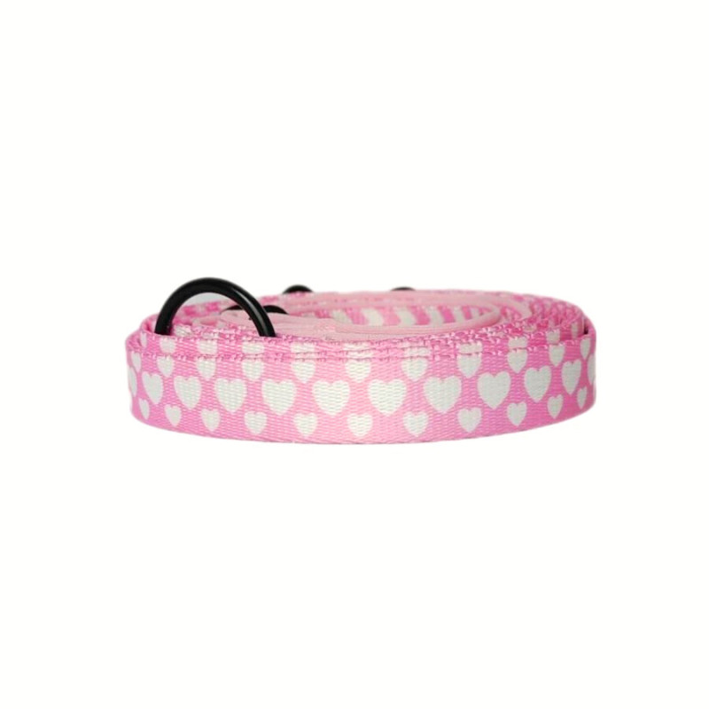 Smycz przepinana dla psa "Filled the love" | FluffyWalk